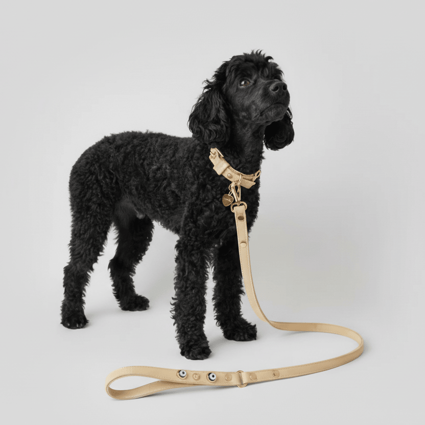 Nazarlıklı Kayış | Bej 🧿 - Mon A PawKöpek Gezdirme Kayışı