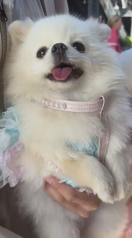 Diana İncili Göğüs Tasması Pembe videosu - Mon A Paw