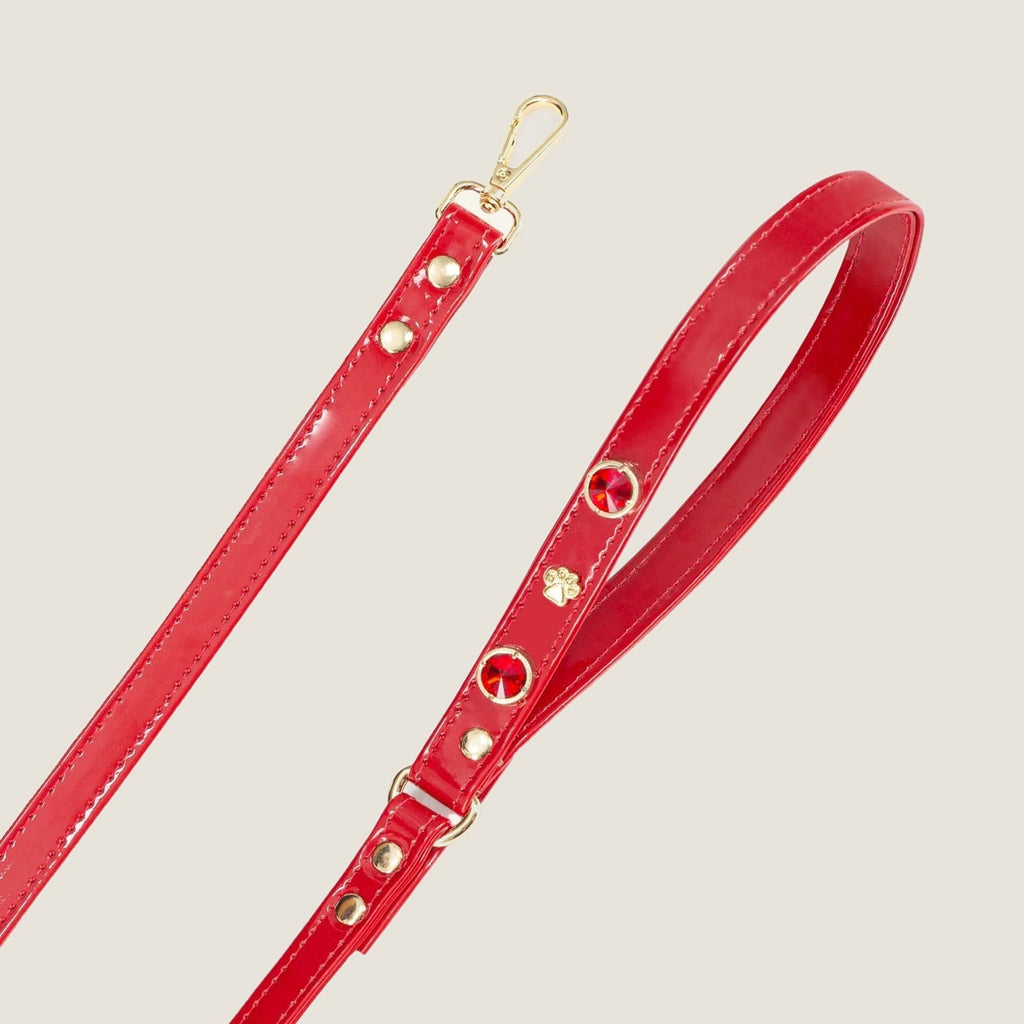 Scarlet Swarovski Göğüs Tasma Yürüyüş Seti