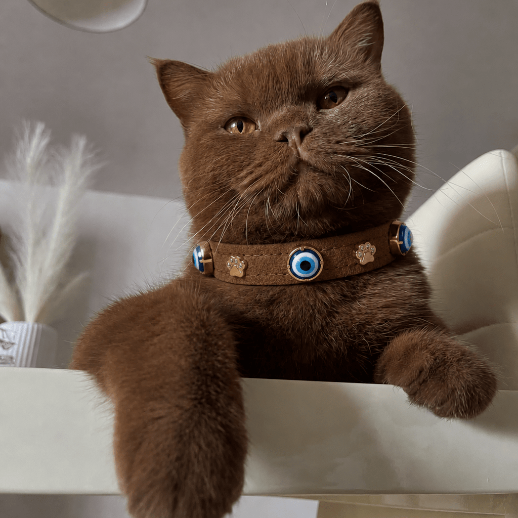 Süet Nazarlıklı Kedi Tasması | Tarçın - Mon A Paw