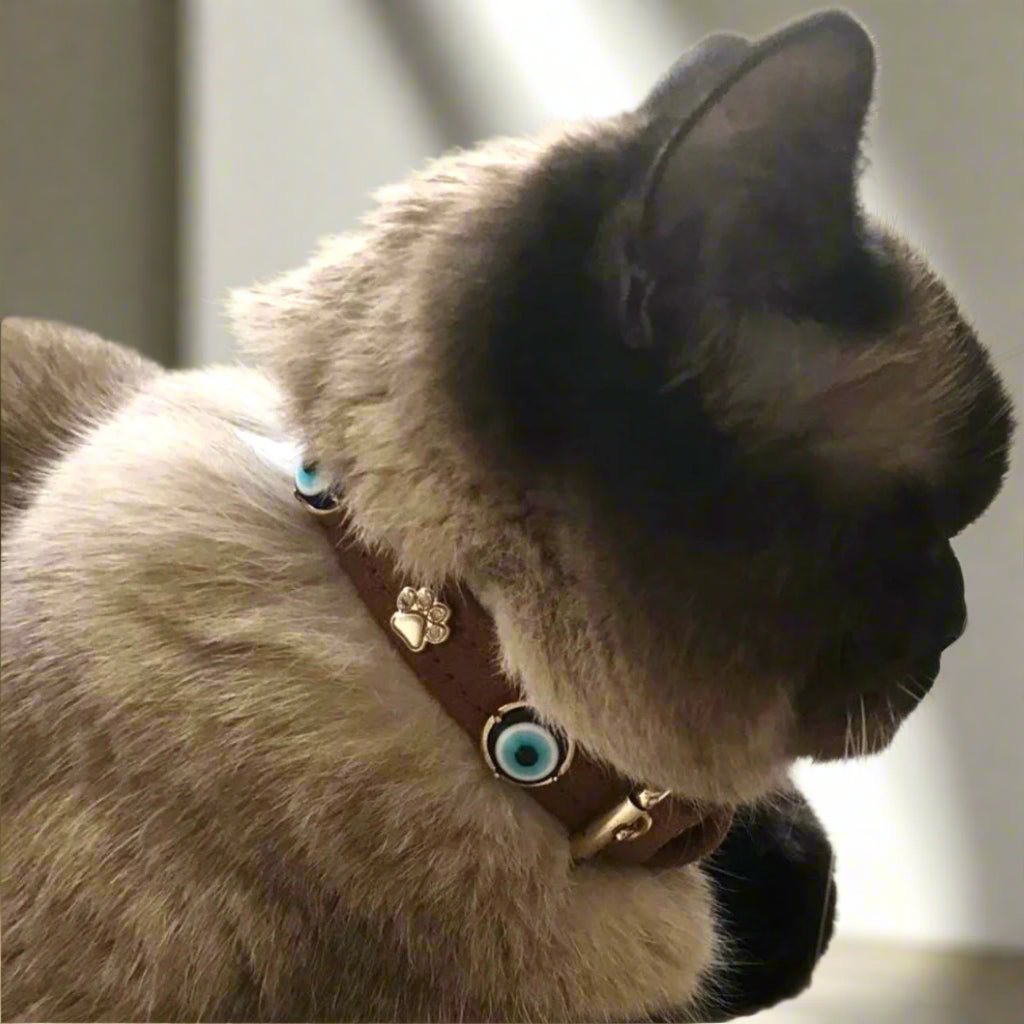 Süet Nazarlıklı Kedi Tasması | Tarçın - Mon A Paw